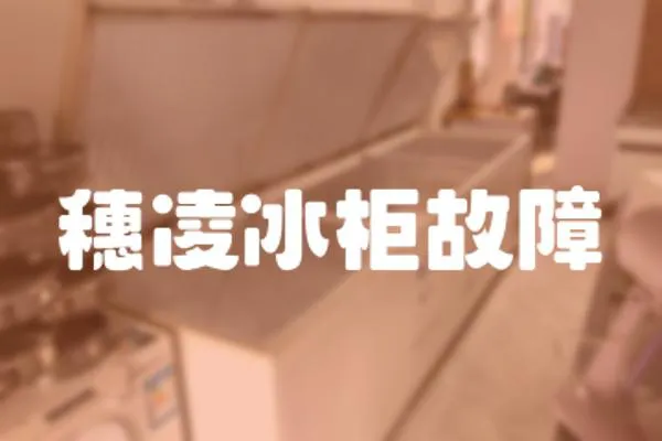 穗凌冰柜故障