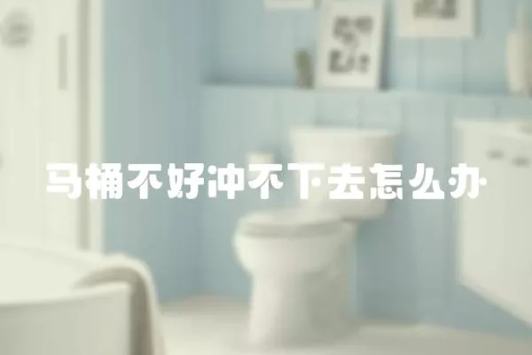 馬桶不好沖不下去怎么辦
