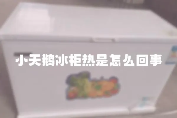 小天鵝冰柜熱是怎么回事
