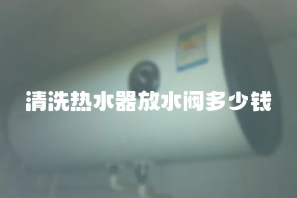 清洗熱水器放水閥多少錢