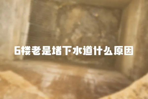 6樓老是堵下水道什么原因