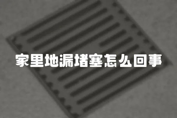 家里地漏堵塞怎么回事