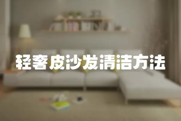 輕奢皮沙發清潔方法