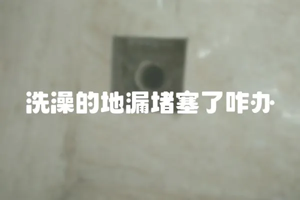 洗澡的地漏堵塞了咋辦