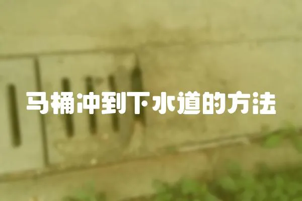 馬桶沖到下水道的方法