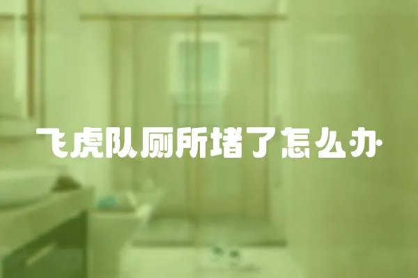 飛虎隊(duì)廁所堵了怎么辦