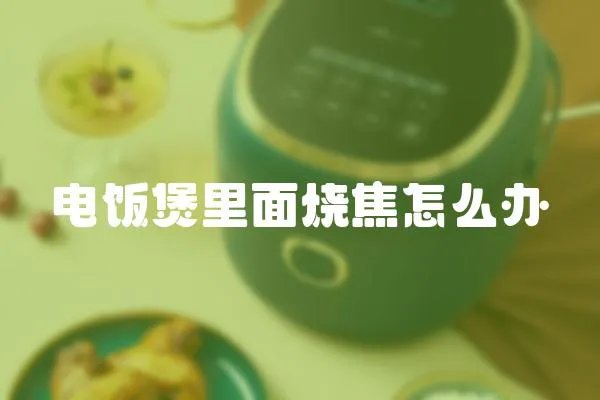 電飯煲里面燒焦怎么辦