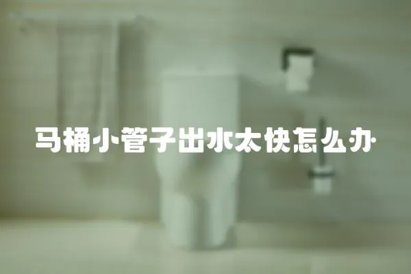 馬桶小管子出水太快怎么辦