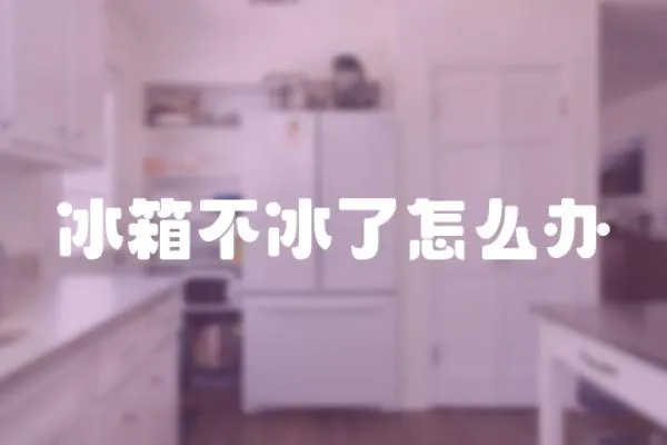 冰箱不冰了怎么辦