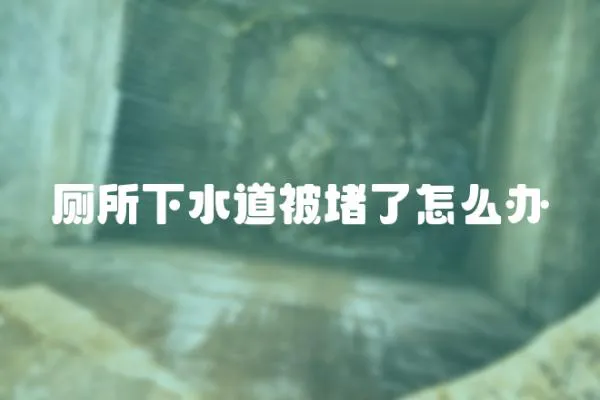 廁所下水道被堵了怎么辦