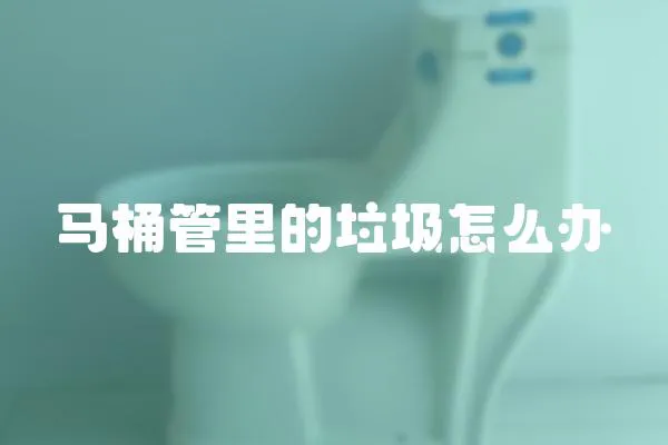 馬桶管里的垃圾怎么辦