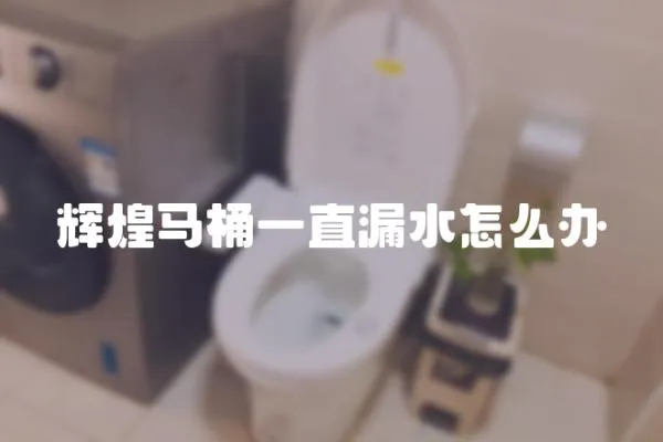 輝煌馬桶一直漏水怎么辦