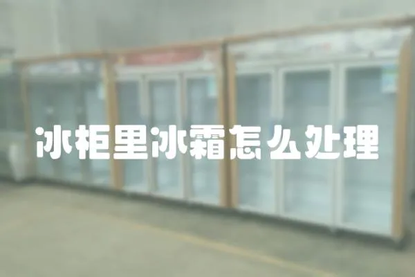 冰柜里冰霜怎么處理