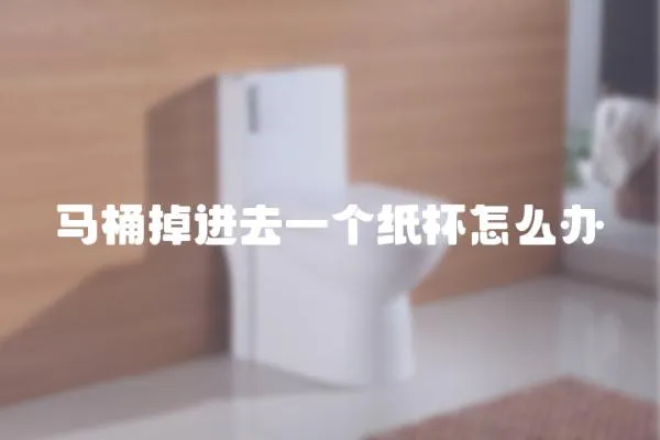 馬桶掉進去一個紙杯怎么辦