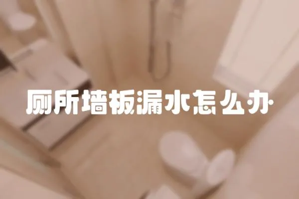 廁所墻板漏水怎么辦