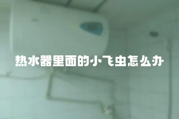 熱水器里面的小飛蟲(chóng)怎么辦