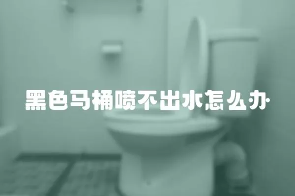 黑色馬桶噴不出水怎么辦