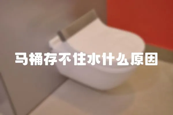 馬桶存不住水什么原因