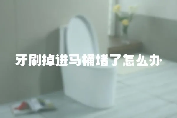 牙刷掉進馬桶堵了怎么辦