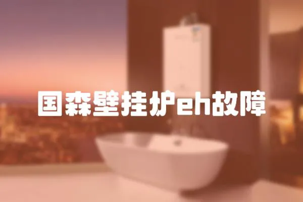 國(guó)森壁掛爐eh故障