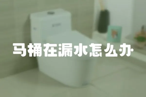 馬桶在漏水怎么辦