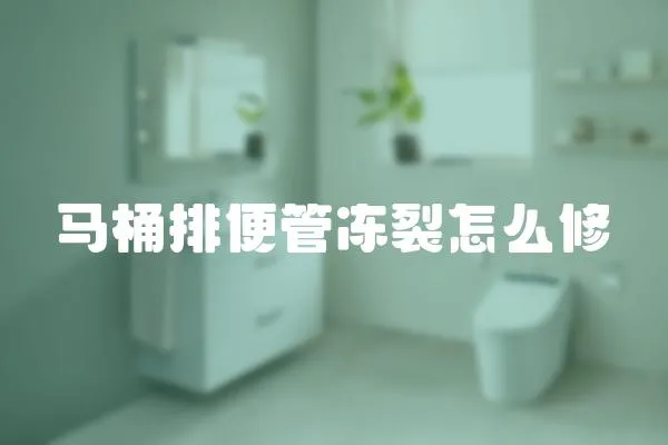 馬桶排便管凍裂怎么修