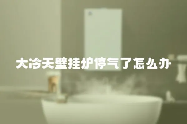 大冷天壁掛爐停氣了怎么辦