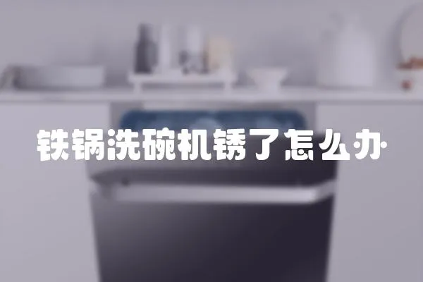 鐵鍋洗碗機銹了怎么辦