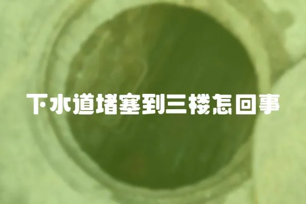 下水道堵塞到三樓怎回事