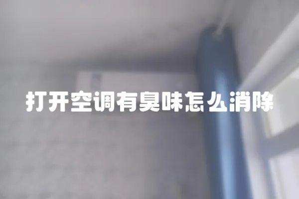 打开空调有臭味怎么消除