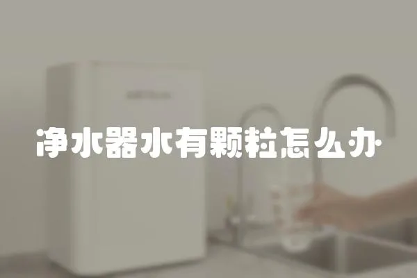 凈水器水有顆粒怎么辦