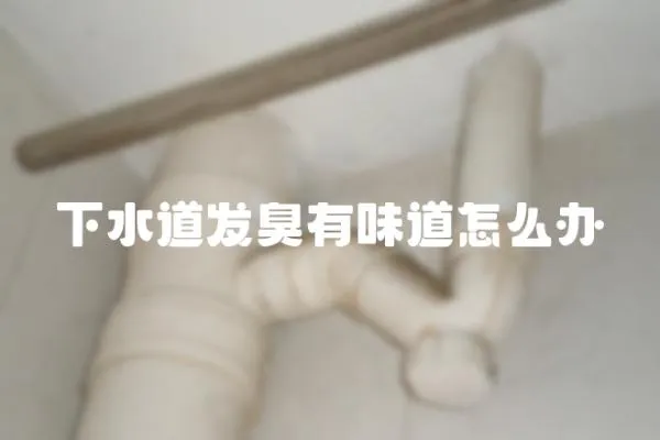 下水道發臭有味道怎么辦