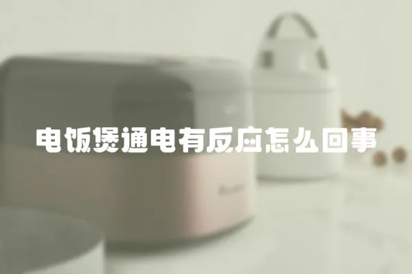 電飯煲通電有反應怎么回事