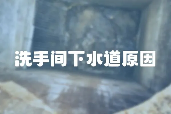 洗手間下水道原因