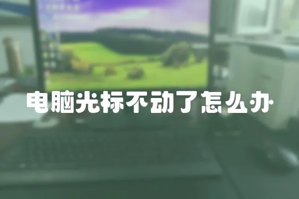 電腦光標不動了怎么辦