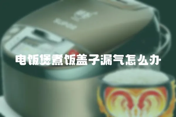 電飯煲煮飯蓋子漏氣怎么辦