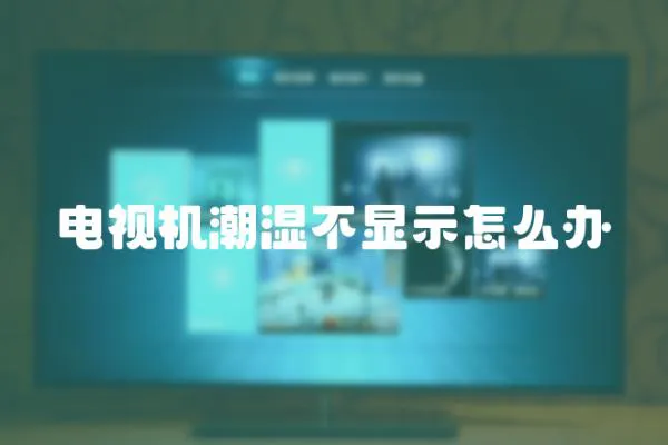 电视机潮湿不显示怎么办