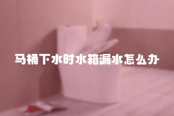 馬桶下水時水箱漏水怎么辦