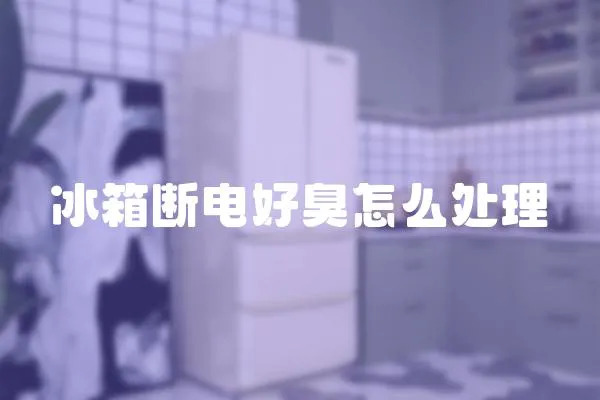 冰箱斷電好臭怎么處理