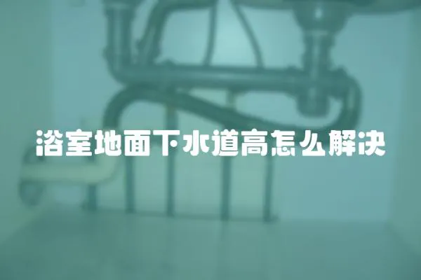 浴室地面下水道高怎么解決