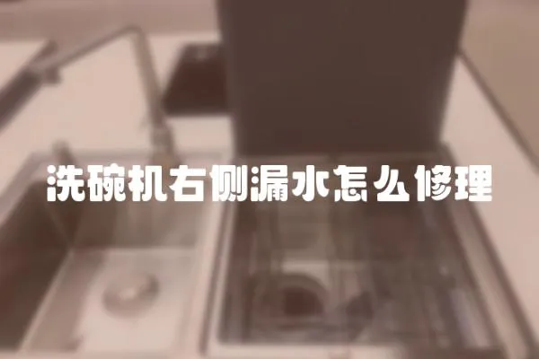 洗碗机右侧漏水怎么修理