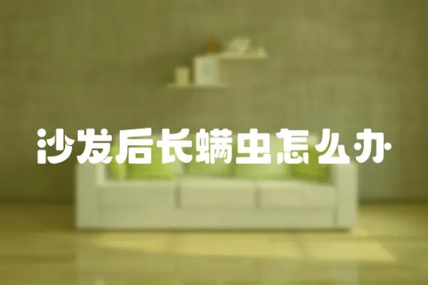 沙發(fā)后長(zhǎng)螨蟲(chóng)怎么辦