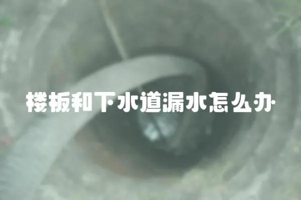 樓板和下水道漏水怎么辦