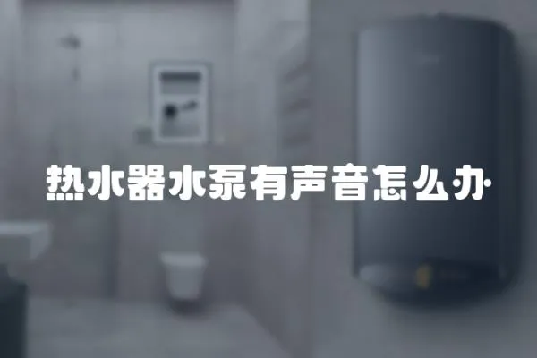 熱水器水泵有聲音怎么辦