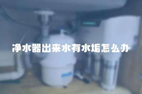 凈水器出來水有水垢怎么辦