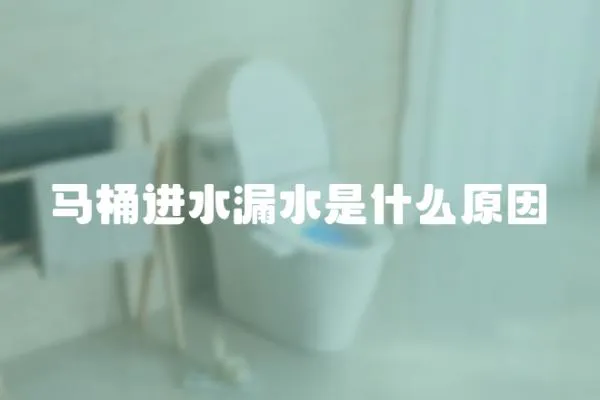 馬桶進水漏水是什么原因