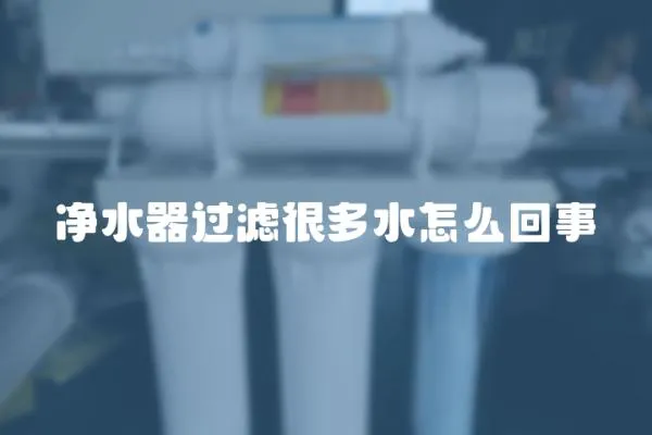 凈水器過濾很多水怎么回事