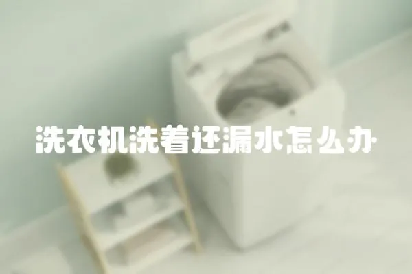 洗衣機洗著還漏水怎么辦