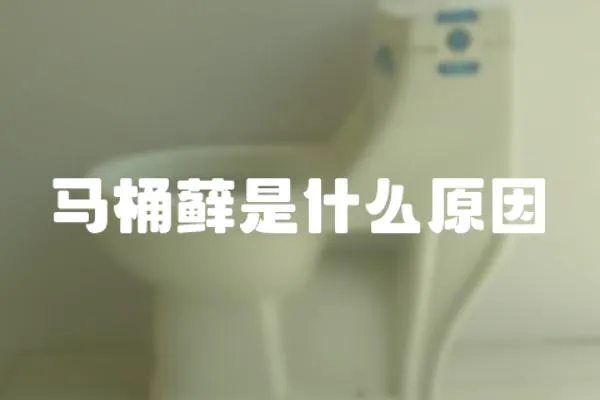 馬桶蘚是什么原因
