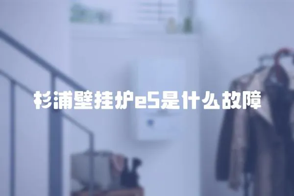 杉浦壁掛爐e5是什么故障
